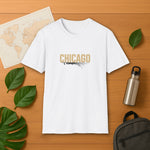 Chicago Skyline Shadow